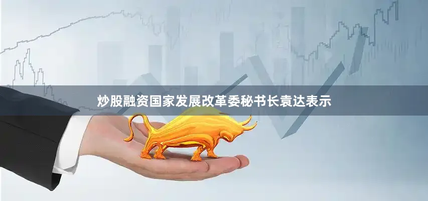 炒股融资国家发展改革委秘书长袁达表示