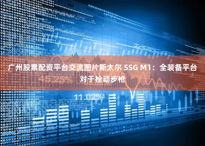 广州股票配资平台交流图片斯太尔 SSG M1：全装备平台对于栓动步枪