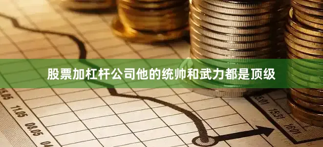 股票加杠杆公司他的统帅和武力都是顶级